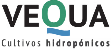 Vequa Logo